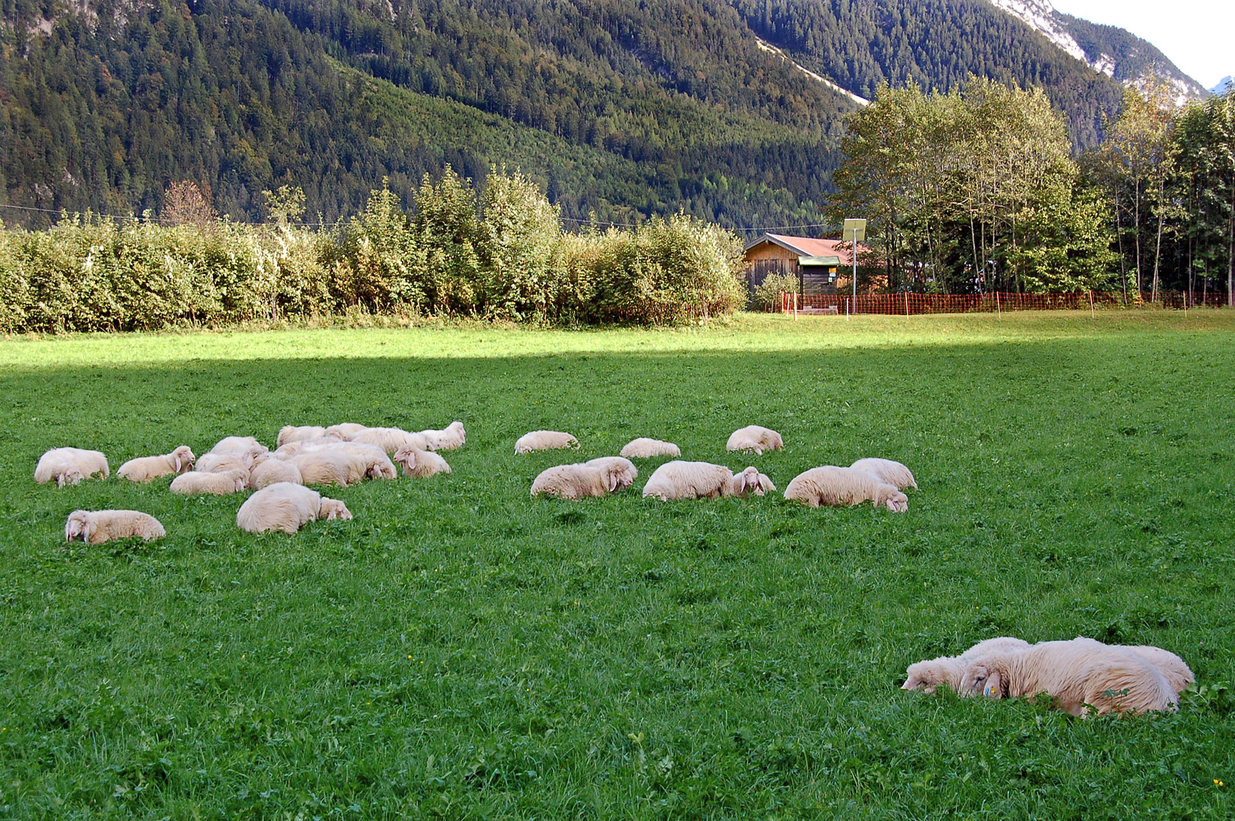 Mittenwald